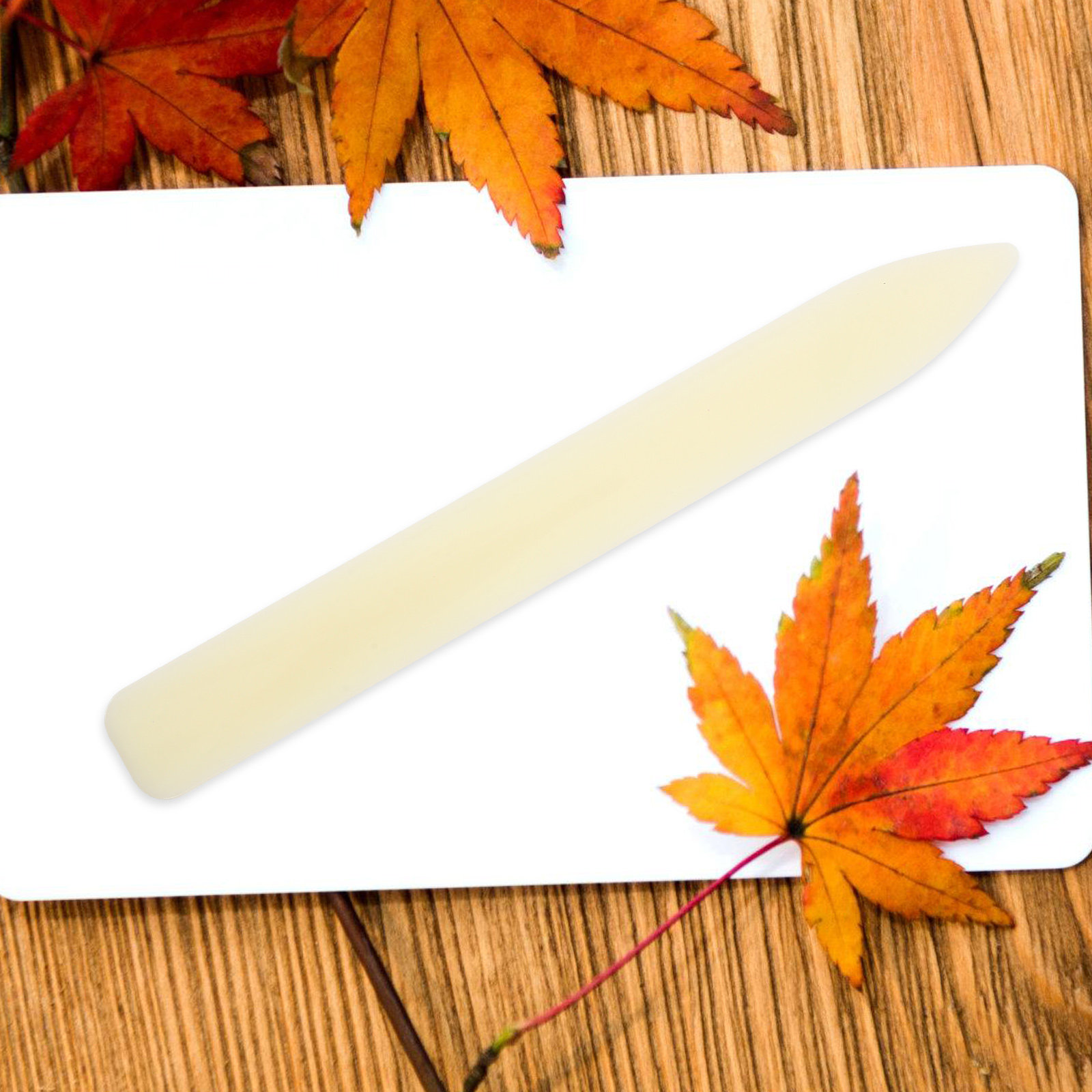 5 peças de ferramenta de vinco - Bone Folder Tool avaliação e preço